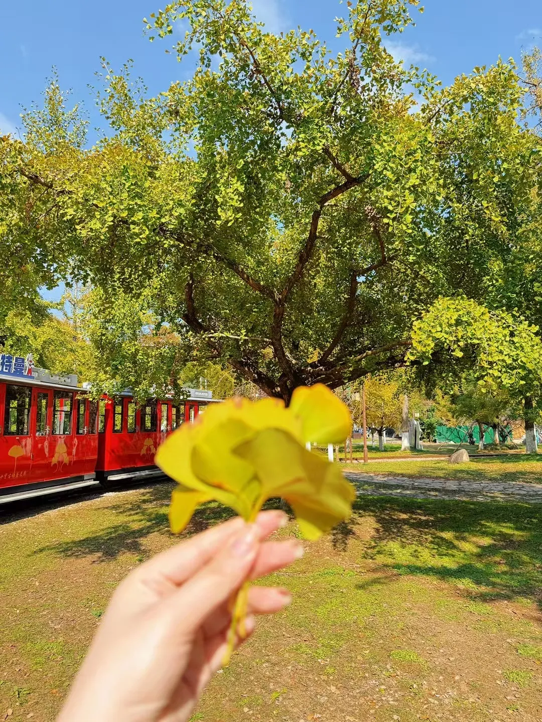 圖片22 圖片22